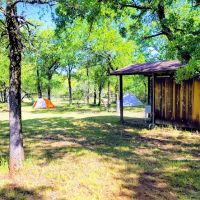 Bull Elk Campsite ico