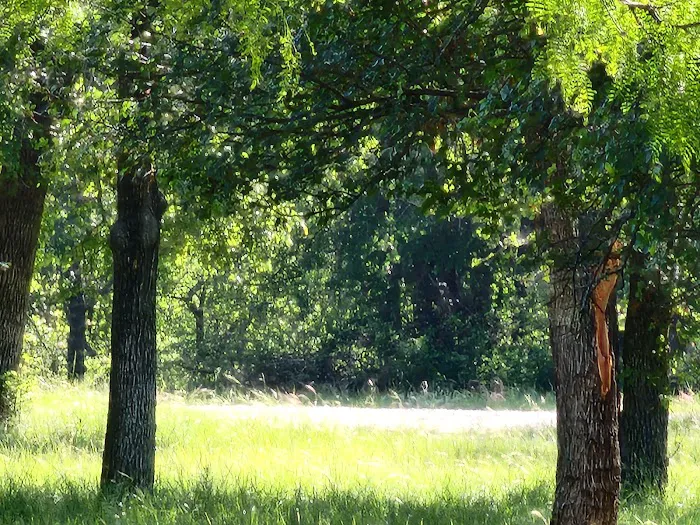 Sitting Bull Campsite Picture 8