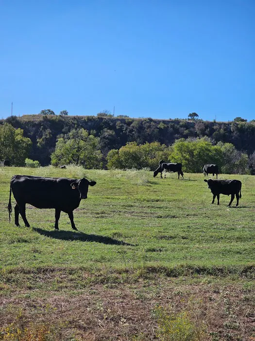BMG Getaway Ranch Picture 8