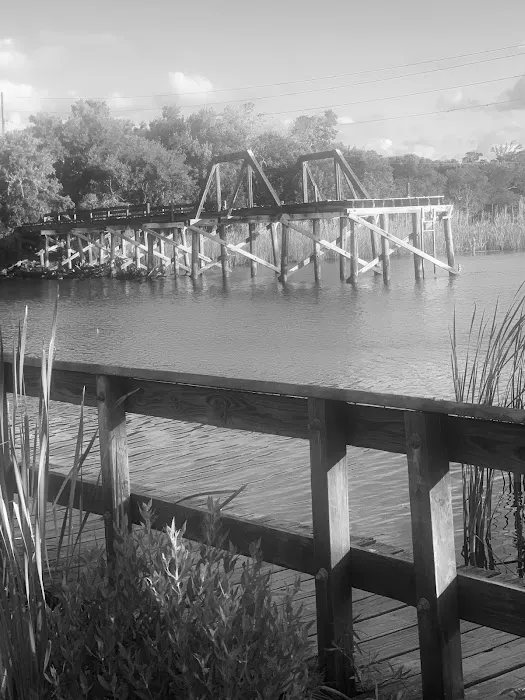 Carl Park Picture 5