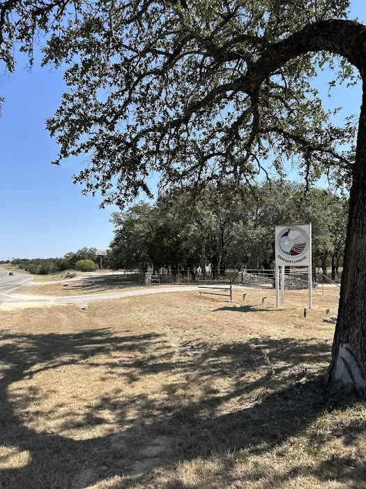 Armadilloasis Picture 2