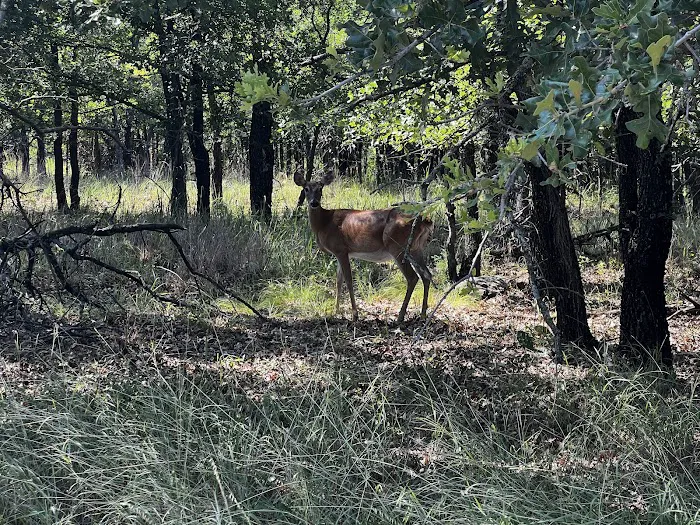 Deer Ridge Campground Picture 10