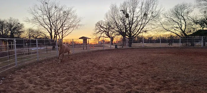 Bluestem Grove Equestrian Camping Picture 3