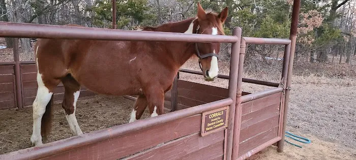 Bluestem Grove Equestrian Camping Picture 5