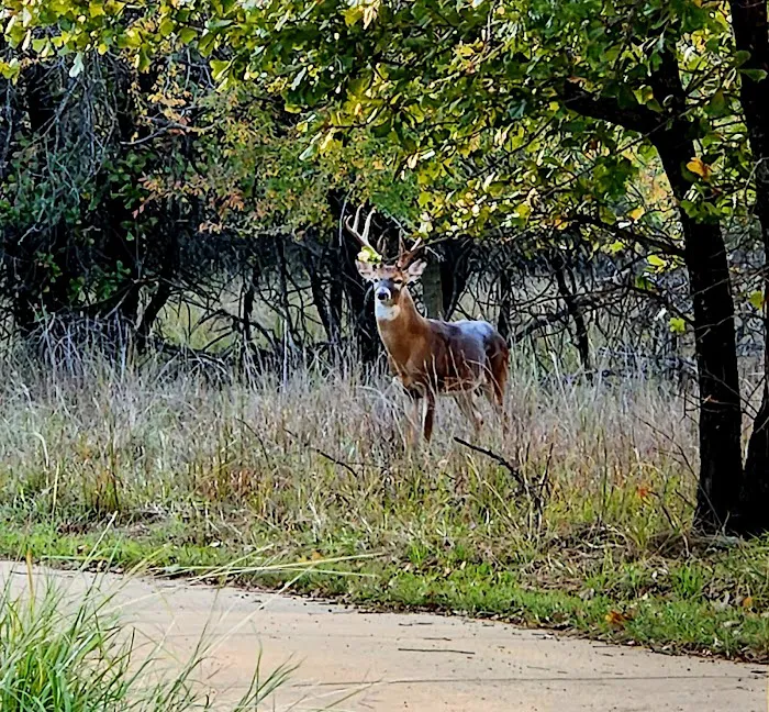 Quail Run Campground Picture 3