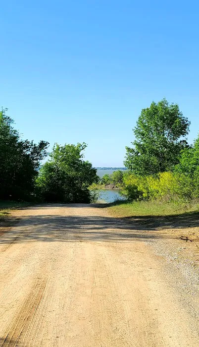 Big Tree Campsite Picture 4