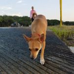 BRA Area #1 camping ground