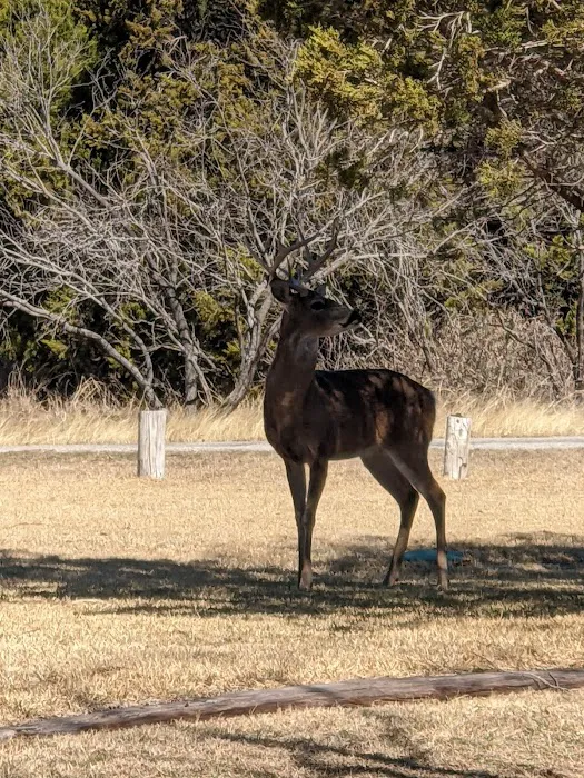 North D & D Camping Picture 6