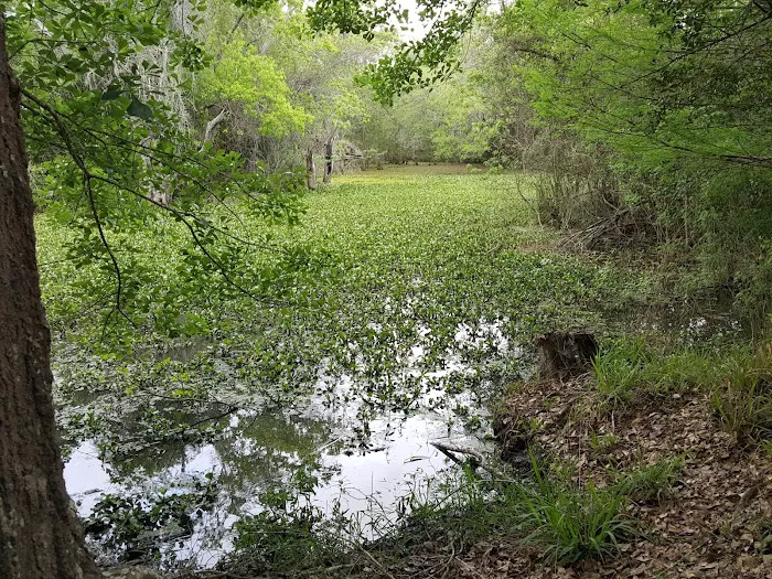 Texana Park and Campground Picture 4