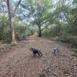 Texana Park and Campground