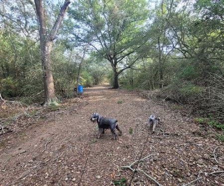 Texana Park and Campground