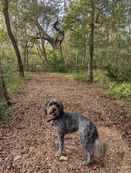 Broken Oak River Park Picture 5