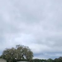 Camp Williams ico