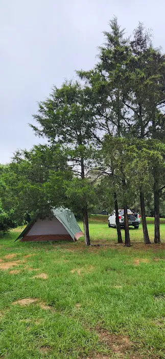 Camp Williams Picture 3
