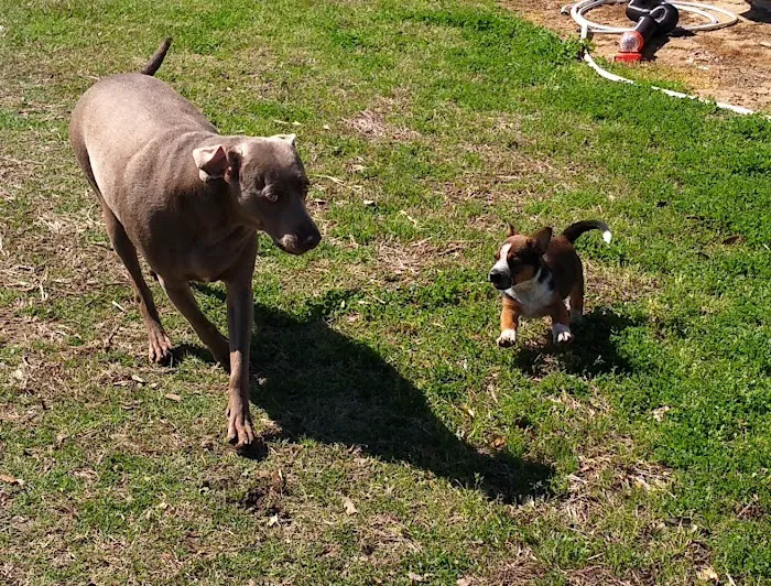 Hub City RV Picture 8