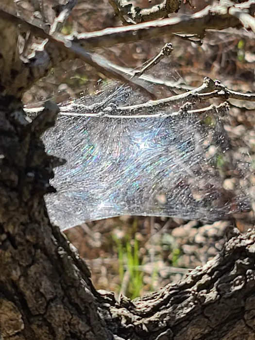 Hub City RV Picture 2