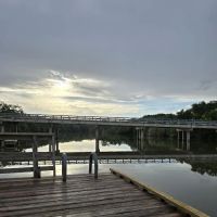 Palmetto State Park Tent Campground ico