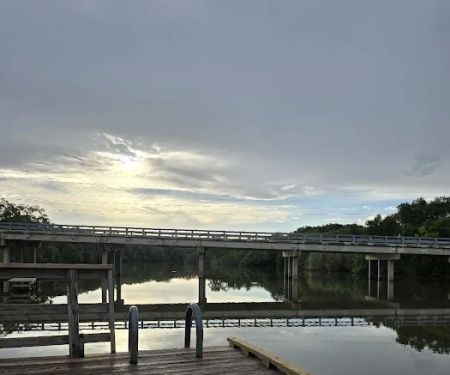 Palmetto State Park Tent Campground