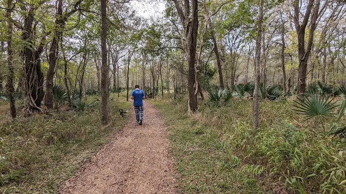 Palmetto State Park Tent Campground Picture 3