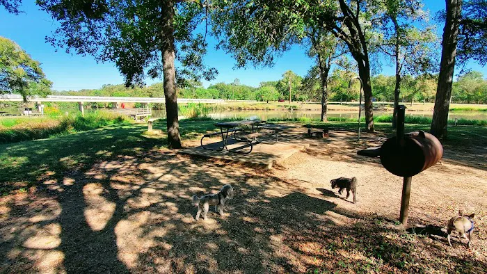 Palmetto State Park Tent Campground Picture 4