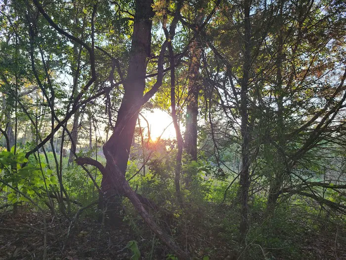 Enchanted Oaks Campground Picture 9