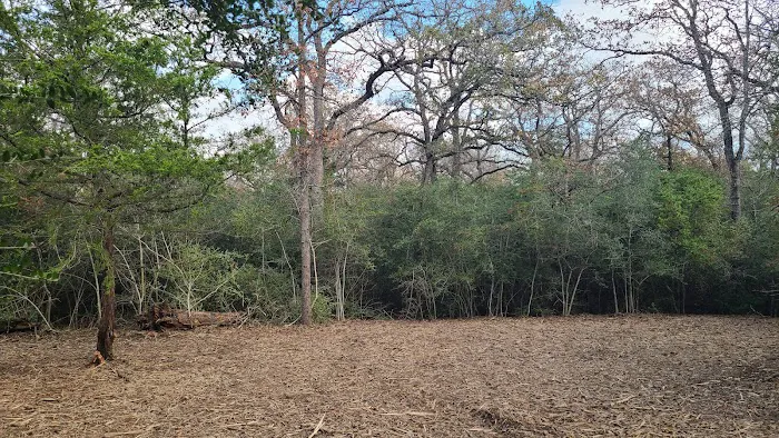 Enchanted Oaks Campground Picture 8