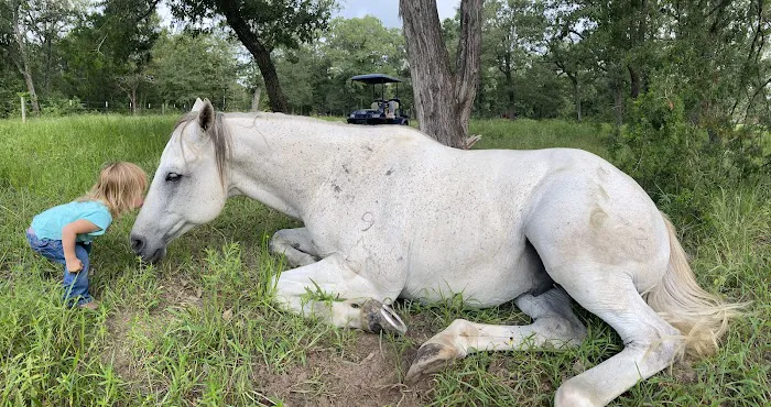 White Horse Ranch and Camping Picture 1