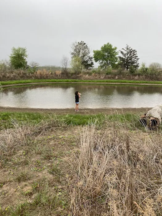 White Horse Ranch and Camping Picture 2