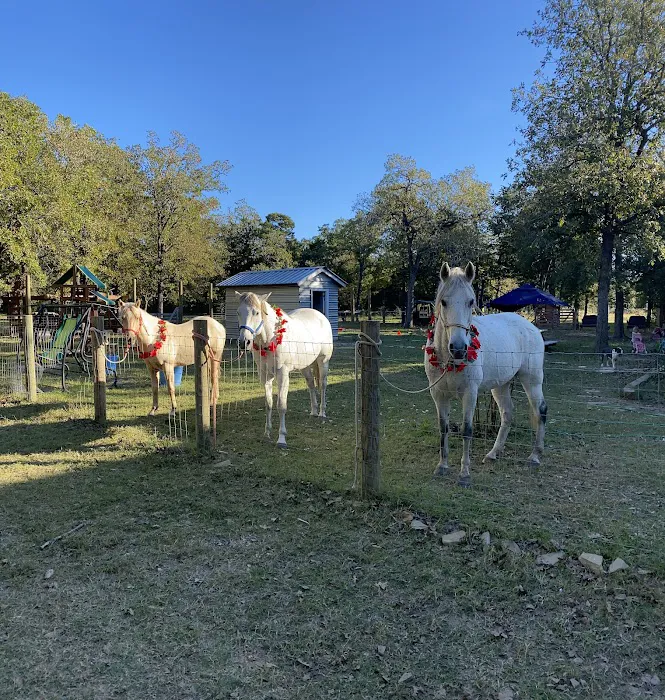 White Horse Ranch and Camping Picture 9