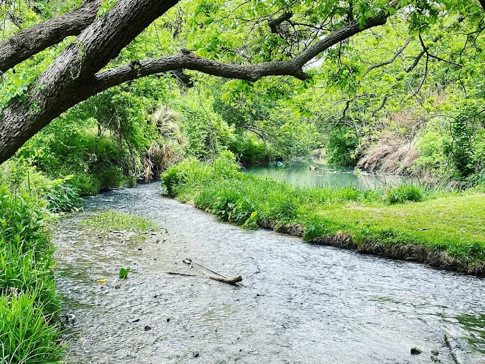 Son's Geronimo Picture 10