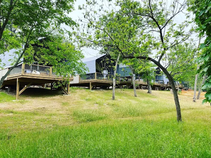 Son's Geronimo Picture 9