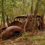 Spencer Canoes & Shady Grove Campground