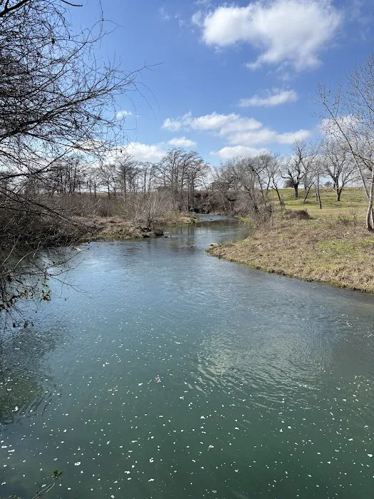 San Marcos River Campground Picture 1