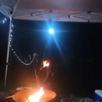 Twisted Oaks camp ico