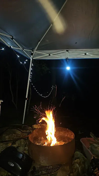 Twisted Oaks camp Picture 2