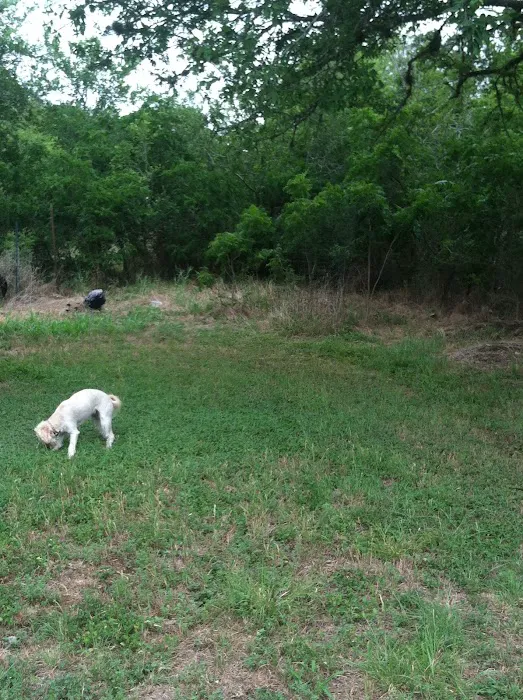 Twisted Oaks camp Picture 9