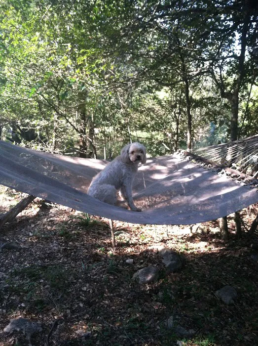 Twisted Oaks camp Picture 8
