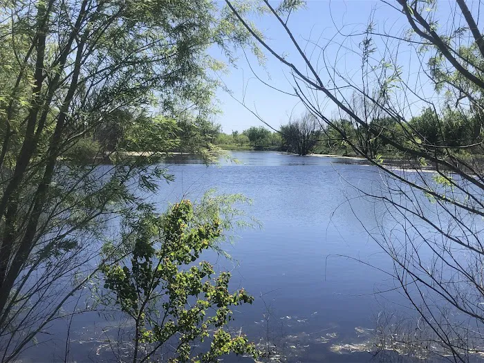 Melvin’s Pond & Camp Picture 4