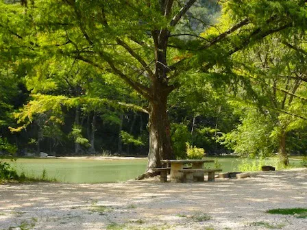 KL Ranch Camp ~ On The River Picture 3