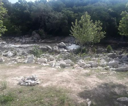 Roy's Rentals & Campground