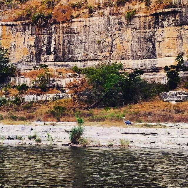 Gypsy River Resort Picture 5