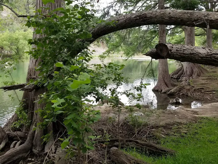 Ol' River RV Park Picture 9