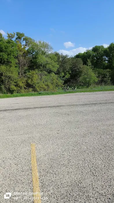 Youth Group Campsite Picture 2