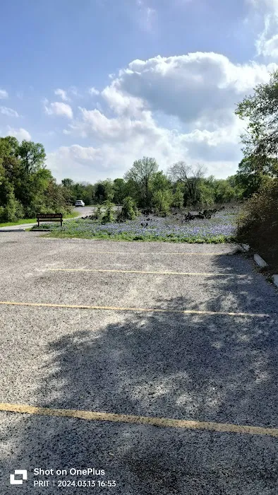 Youth Group Campsite Picture 1