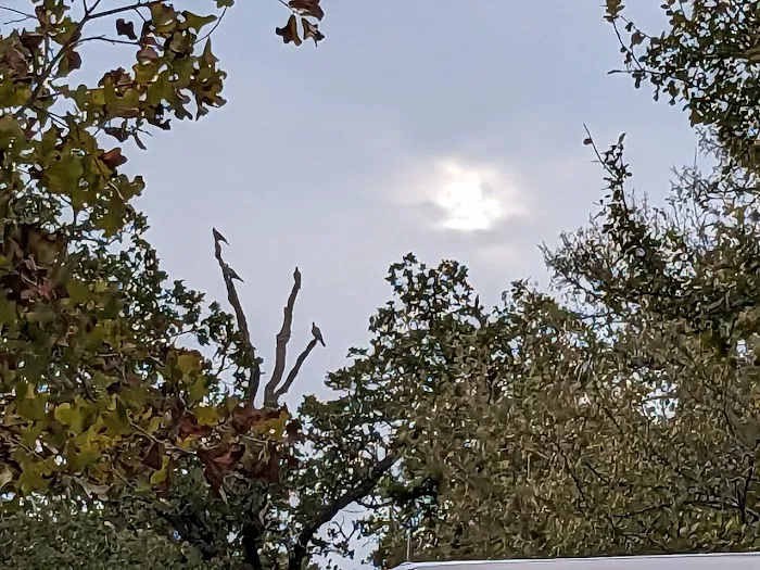Bluebonnet Campground Picture 6