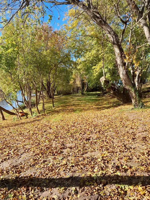 Texas Music River Ranch Picture 7