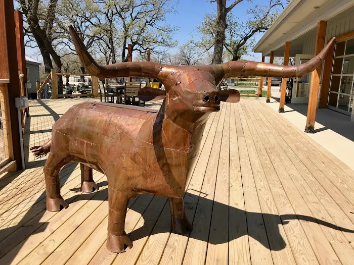 Austin East KOA Holiday Picture 8