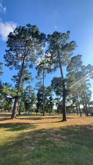 Camp Lost Pines Picture 6