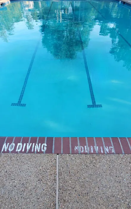 Camp Lost Pines Picture 8