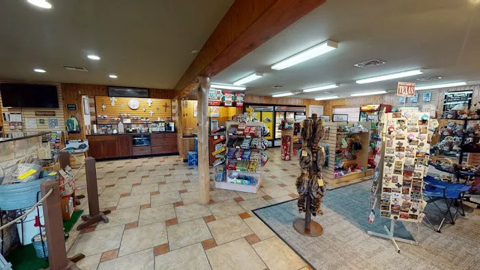 San Antonio / Alamo KOA Holiday Picture 4